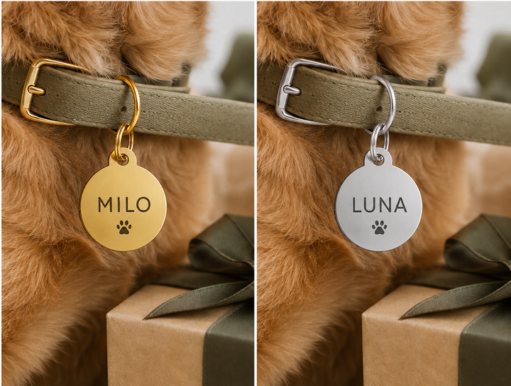 Personalised Pet Name Tag